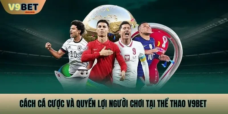 Cách cá cược và quyền lợi người chơi tại Thể Thao v9bet